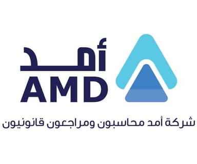 Amd Company, Chartered Accountants and Auditors