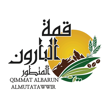 Summit Baron Advanced Company logo