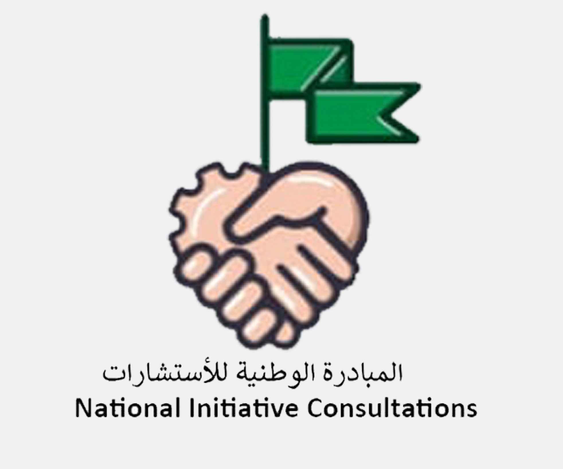 المبادرة الوطنية للاستشارات