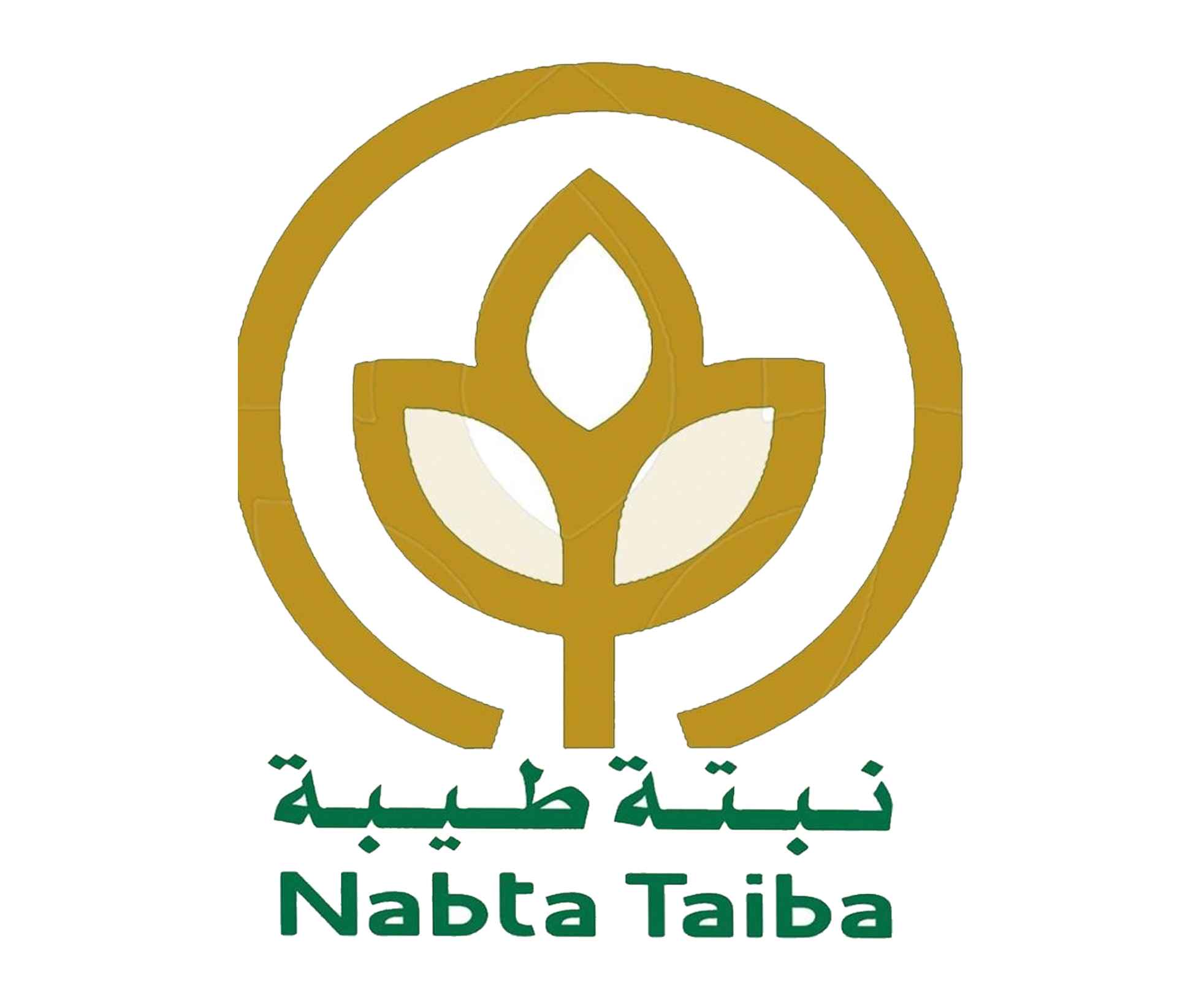 مؤسسة نبتة طيبة للتجارة