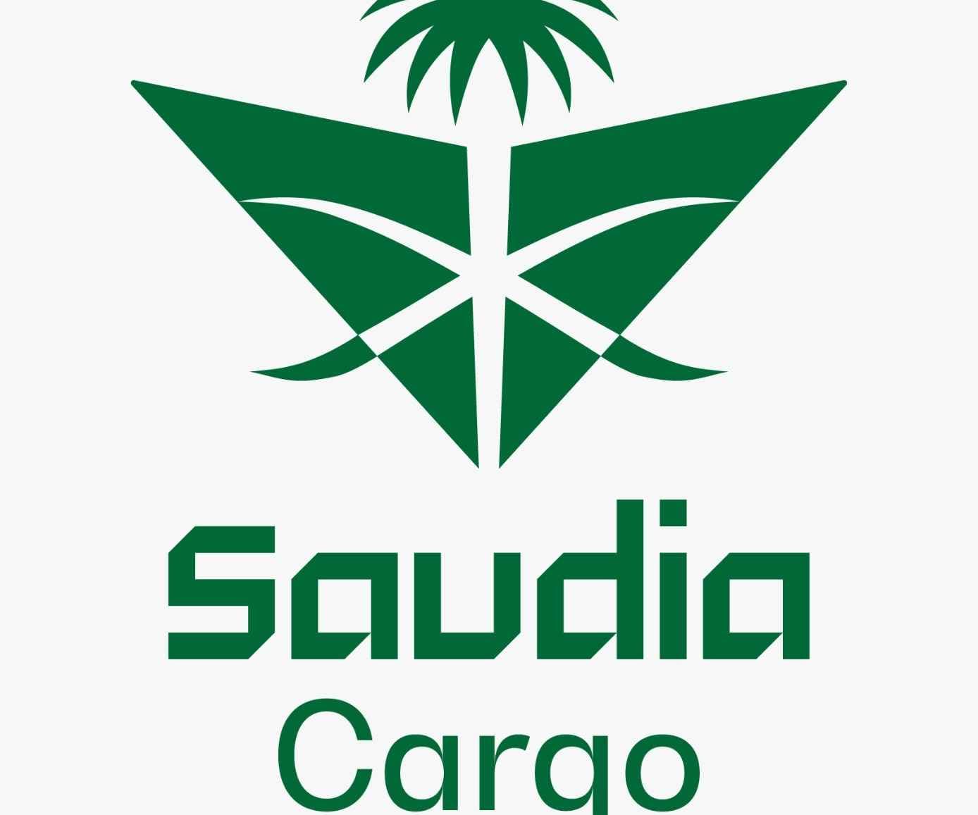 السعودية للشحن logo