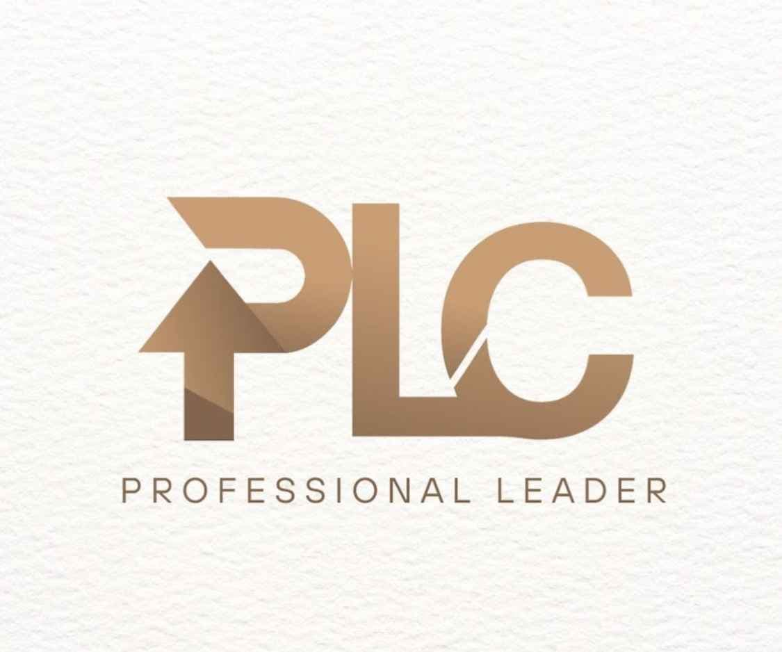 Professional Leader Projects Company logo